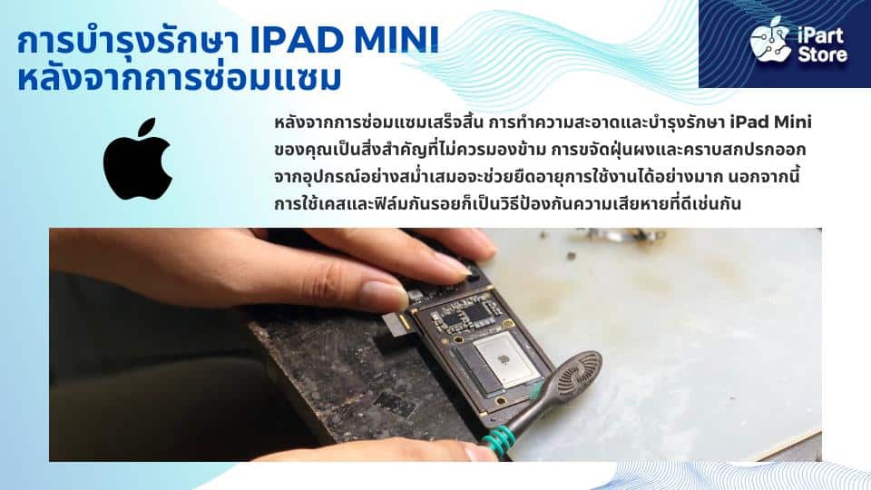 iPad Mini
