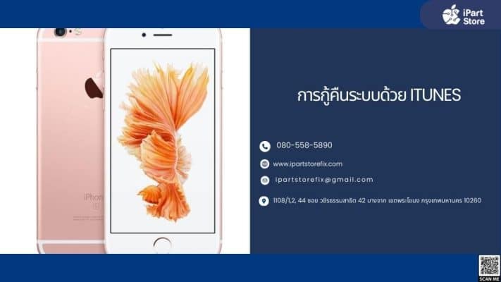 iPhone 6 